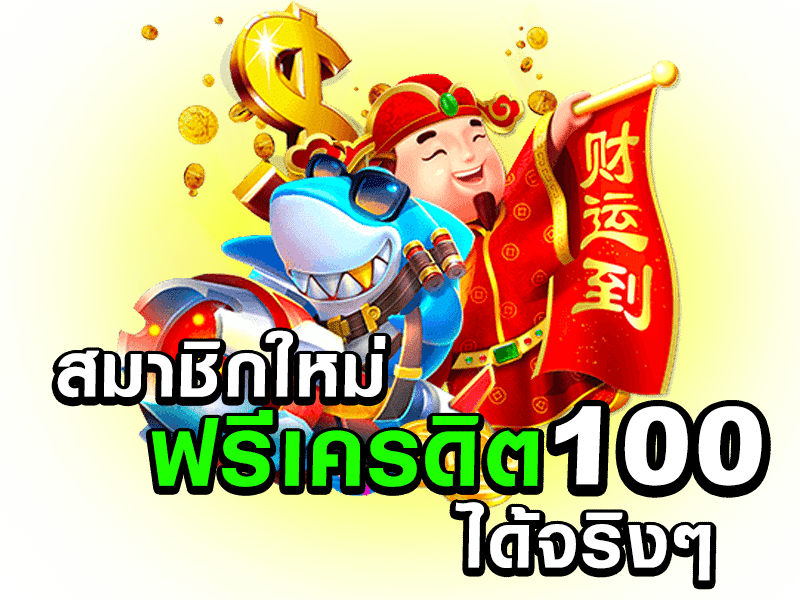 DOMO55 สล็อต
